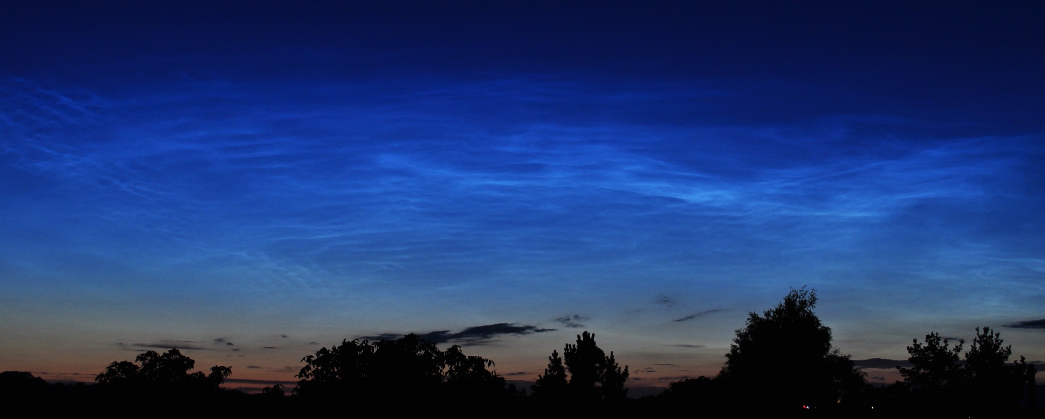 DSC_3889a.jpg