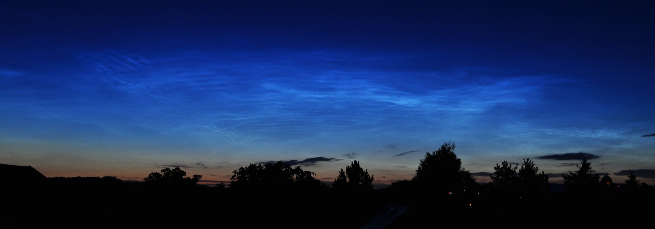 DSC_3890a.jpg