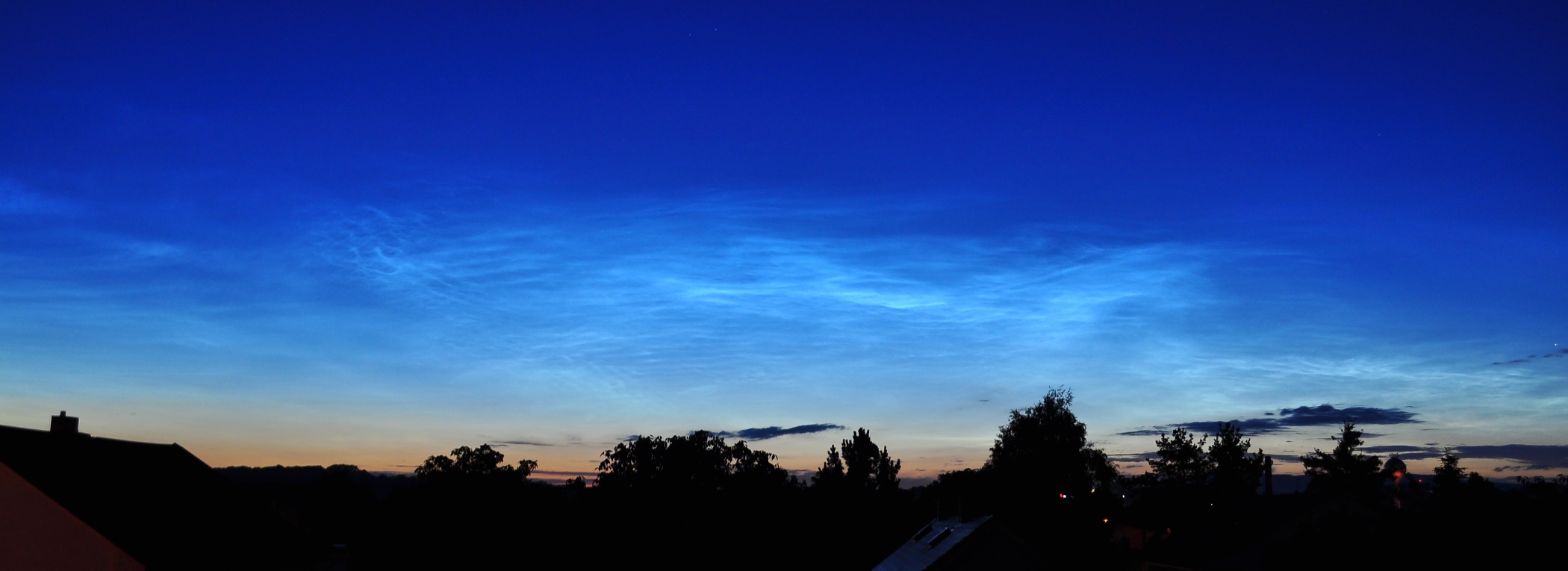DSC_3893a.jpg