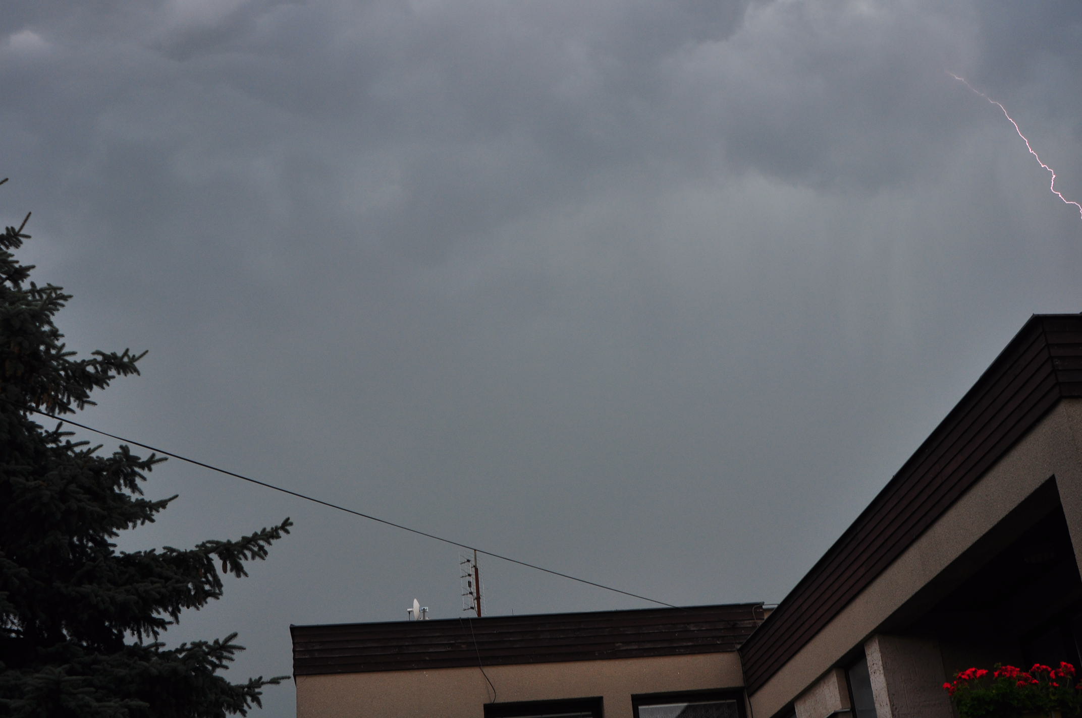 DSC_3287.JPG